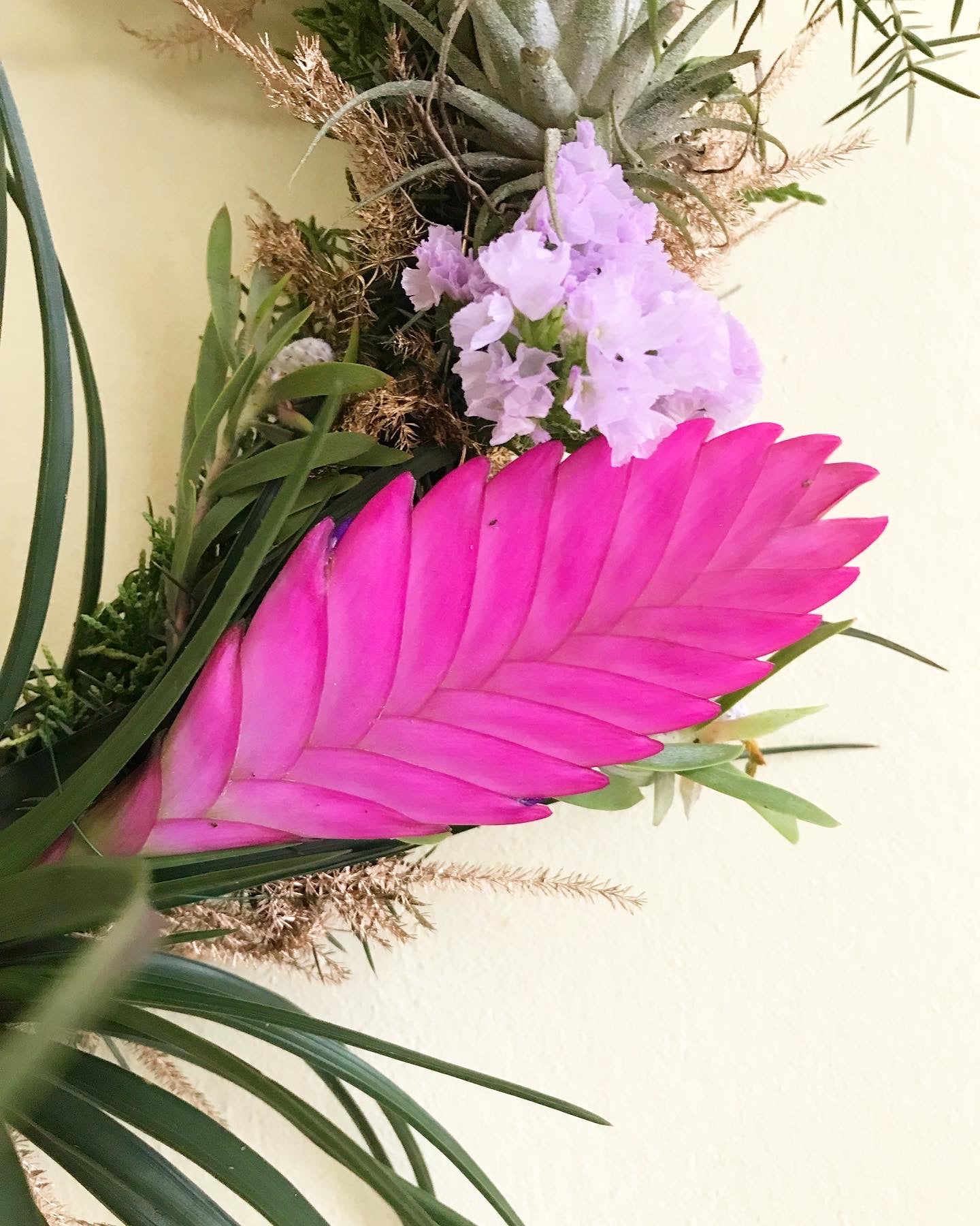 pick-up NICHE KRANS 14 dec